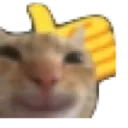 SwagCatThumbsUp
