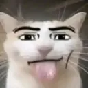 FV_Bleh