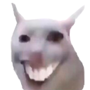 2cat_ Discord emoji