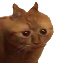 2cat_umumum Discord emoji