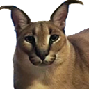 2cat_shlepa Discord emoji