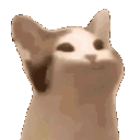 2cat_POP Discord emoji