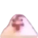 chickem chickem