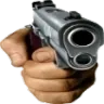 Gun
