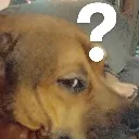 uh