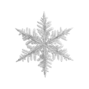 9846whitesnowflake