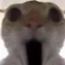 OMG