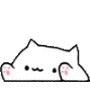 bongoTap bongoTap