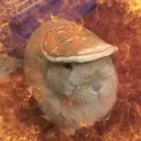 pancake