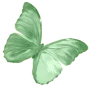 greenbutterfly