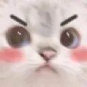 madKitty