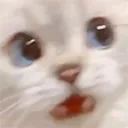 scared_SOSELITE