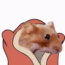 hamsternomnomnomnom hamsternomnomnomnom