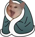 kittyblanket
