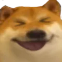 Doge_Laughing