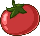 Tomato Tomato