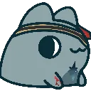 AnaxaCatStare AnaxaCatStare