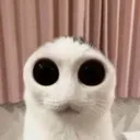 emoji_6