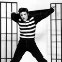 ElvisPresleyJailhouseRock