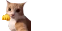 5341670076078642290