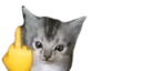 5444939747212419194
