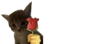 5415629777987974715