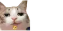 5264864554608761208