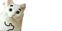 5411245922048810070