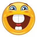 stupid