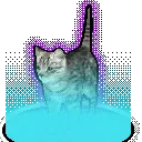 ravecat2