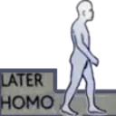 laterhomo