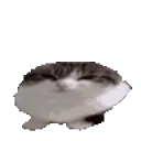 boioioioing