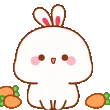 whitebunnycarrotscu