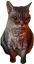 angry