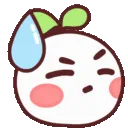DRsweat