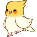 calopsitafeliz Discord emoji
