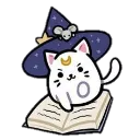 wizard_cat4