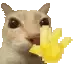 Cat_waving