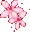 <a:cutesakura:1345843698566566001>
