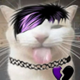 :baydabssemo: