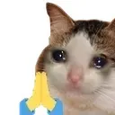 catpray catpray