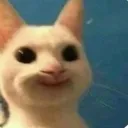 catsmile