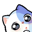 nya animated Discord emote | 𝙀𝙊𝘿𝘼𝙇 𝙎𝙀𝙍𝙑𝙀𝙍