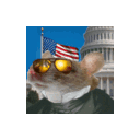 whigspin Discord emoji