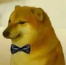cheems
