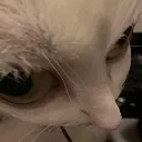 Car_Whatdidyoujustsaid