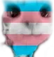 transKitty