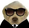 dog007xd_ggsu