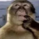 monkey_think