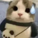 CatSweat CatSweat